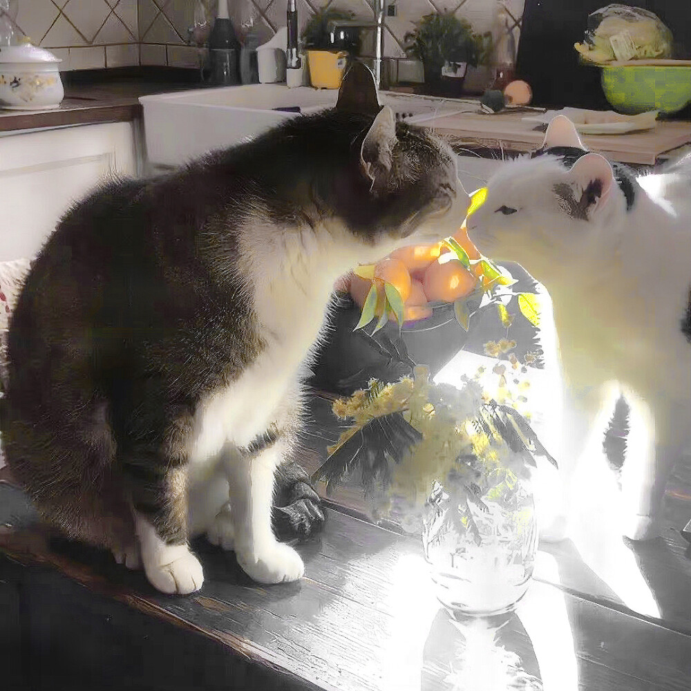 会挽雕弓如满月