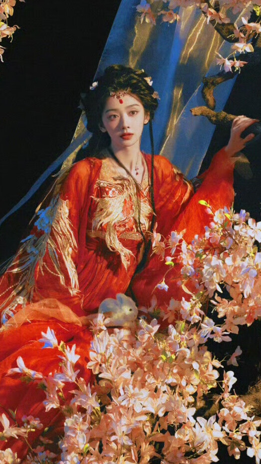 王影璐