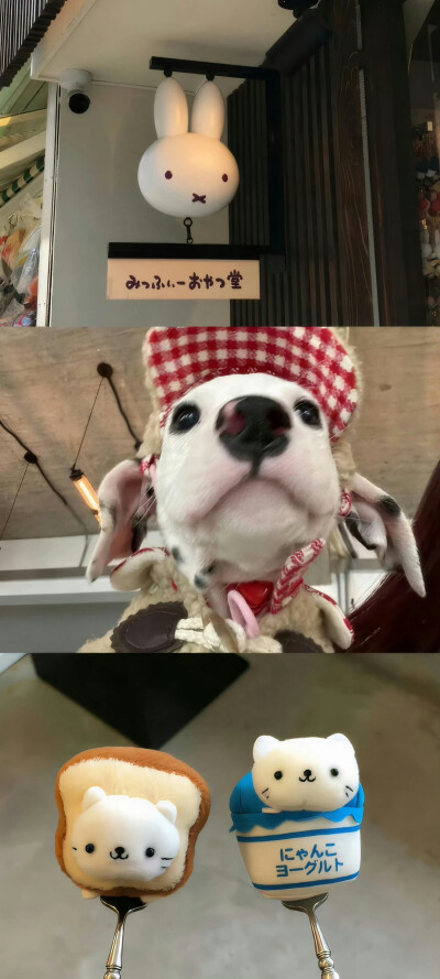 ins风壁纸.ᐟ.ᐟ