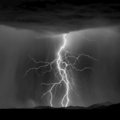 如同蝴蝶般脆弱的你