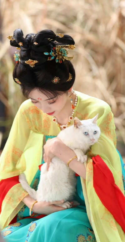 田曦薇《子夜归》武祯