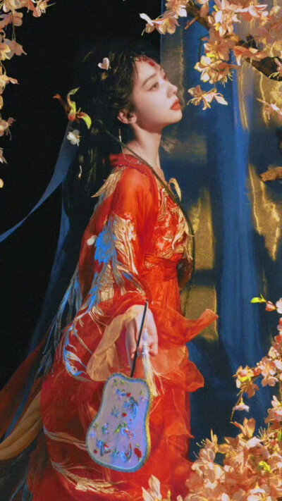 王影璐