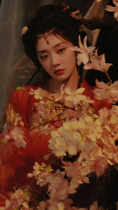 王影璐