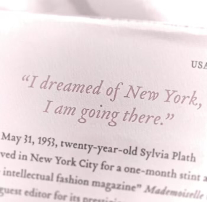 고양이의 머리♡=•ㅅ＜=)☆猫咪大王！！