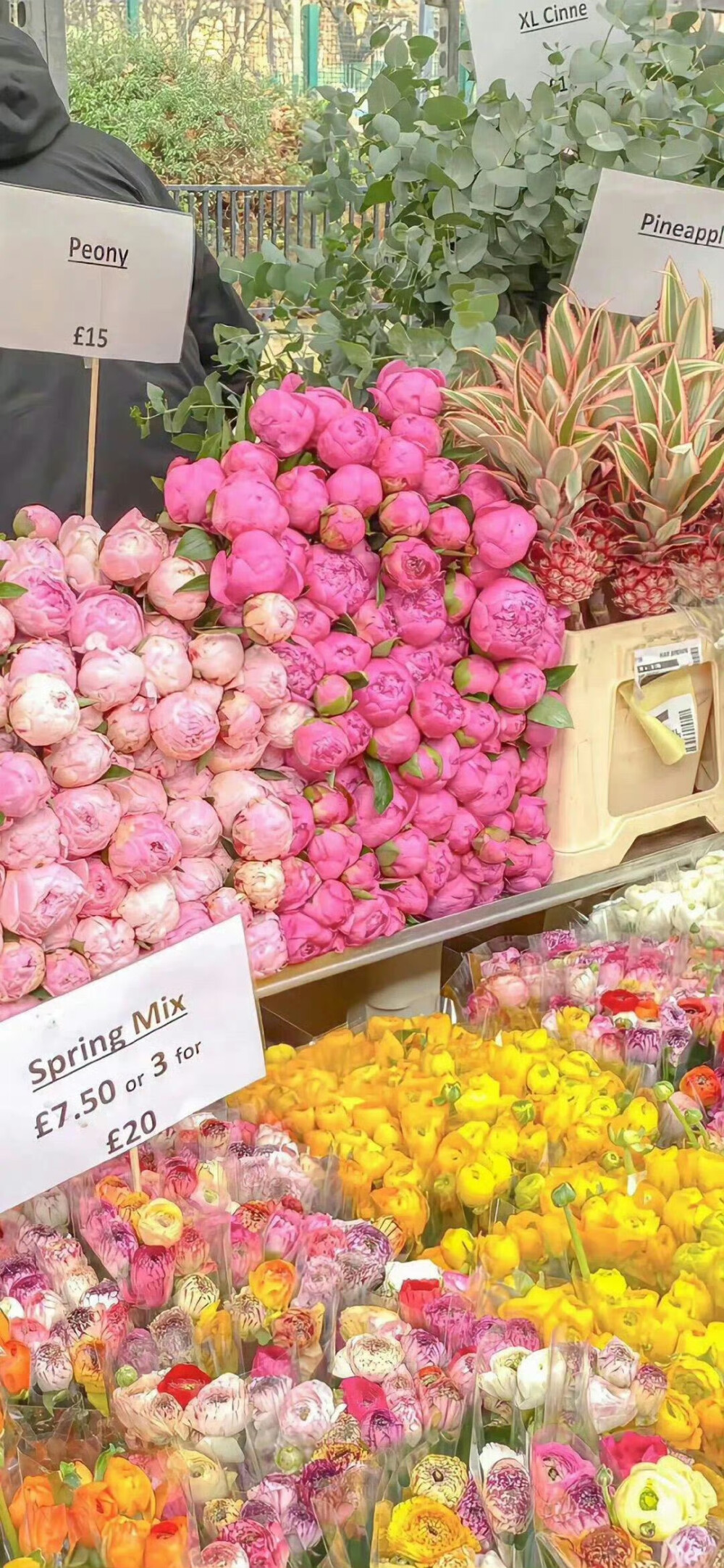 关于花的氛围感壁纸 .ᐟ.ᐟ
#小清新壁纸#