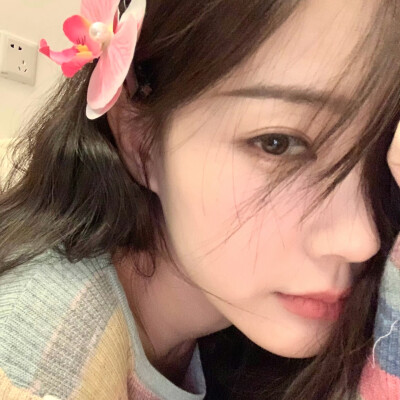 李一桐