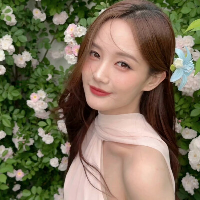 李一桐