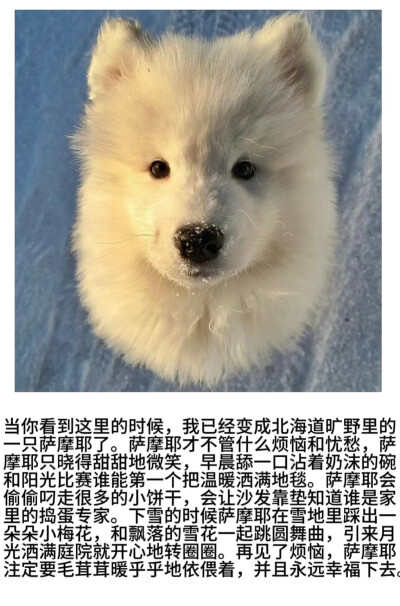 耶耶