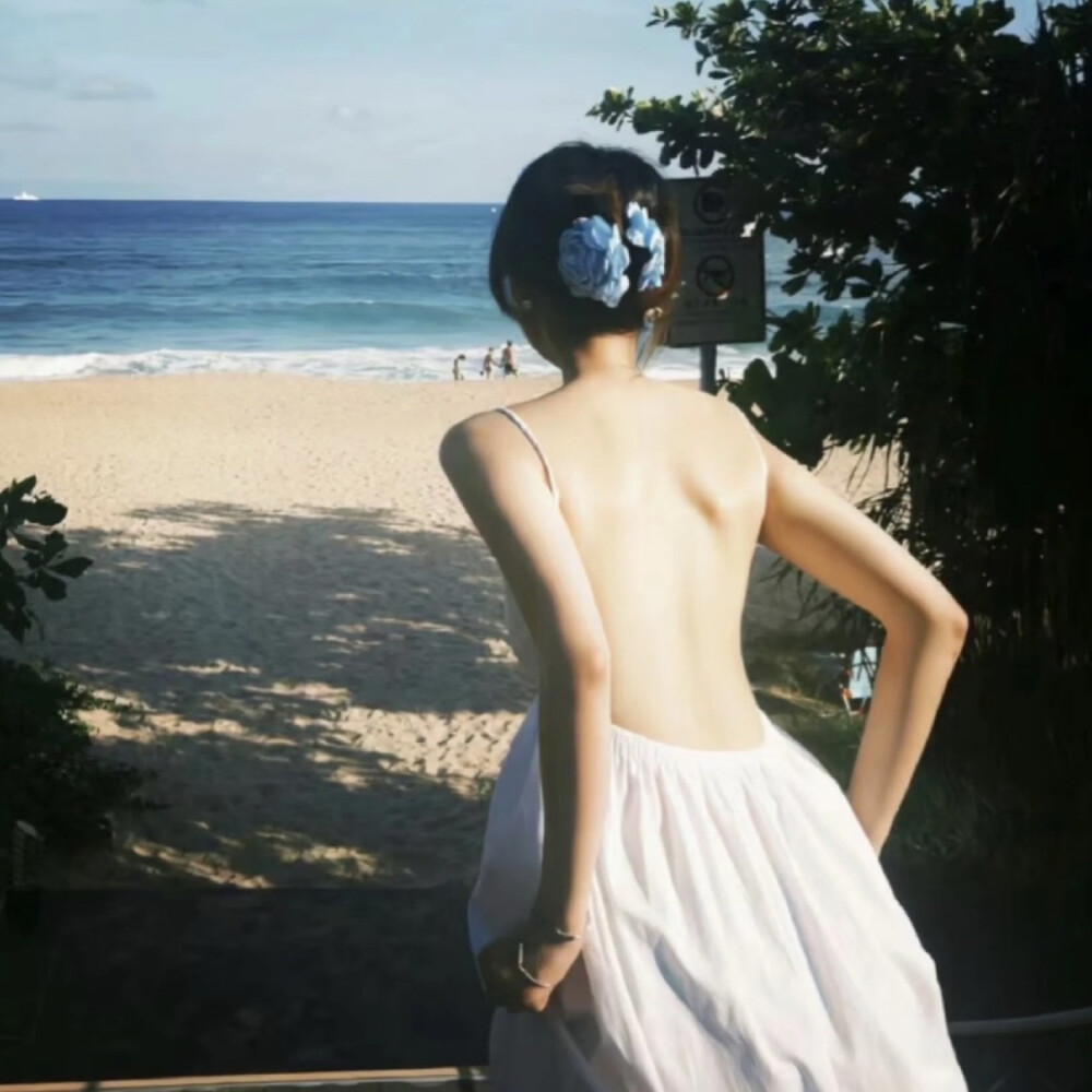 光 风 氧气 自然