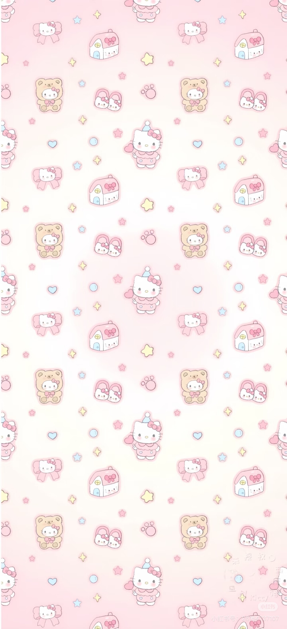 猫咪