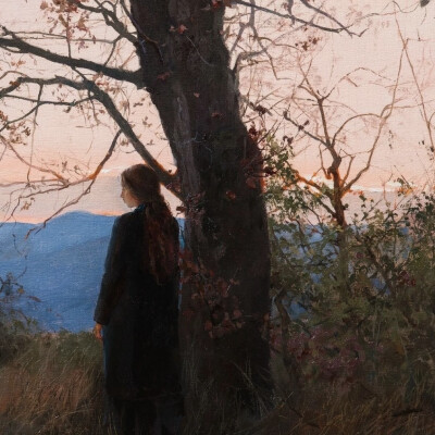 全景