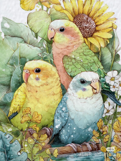 鸟