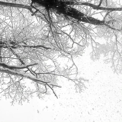 是的没错 一眼就知道是杯子兔的