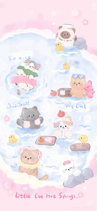 猫咪