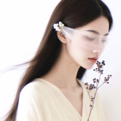 从不撒谎