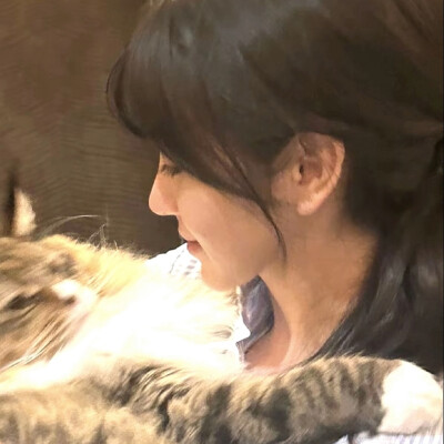 熹妃回宫