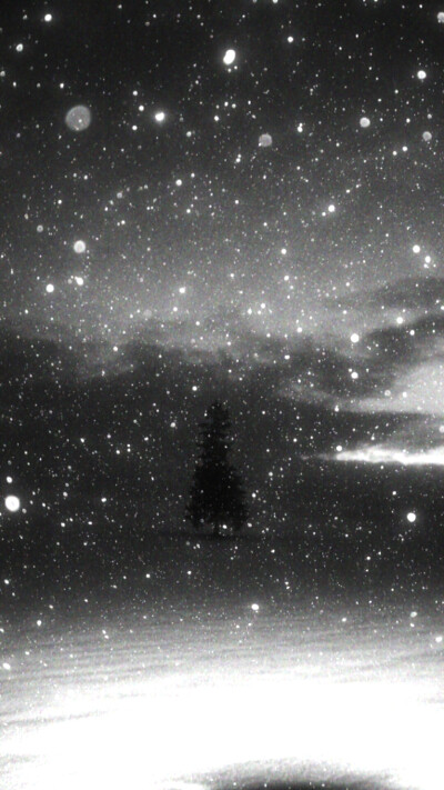 Boiling snowy night、零度温差⁺