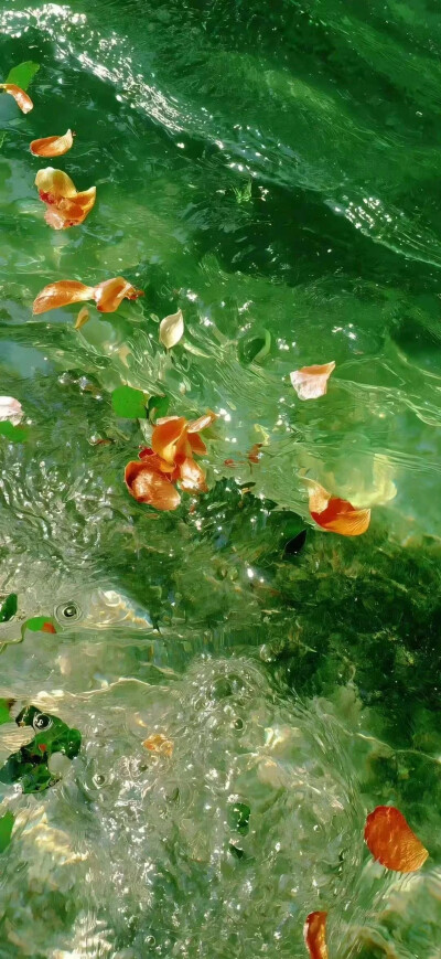 水滴壁纸