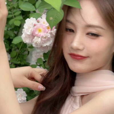 李一桐