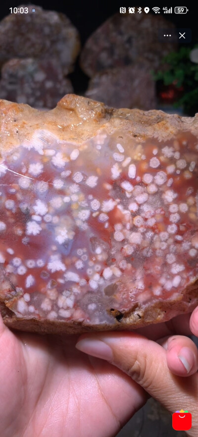 美丽的樱花玛瑙