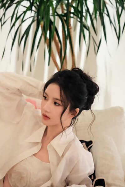 刘些宁