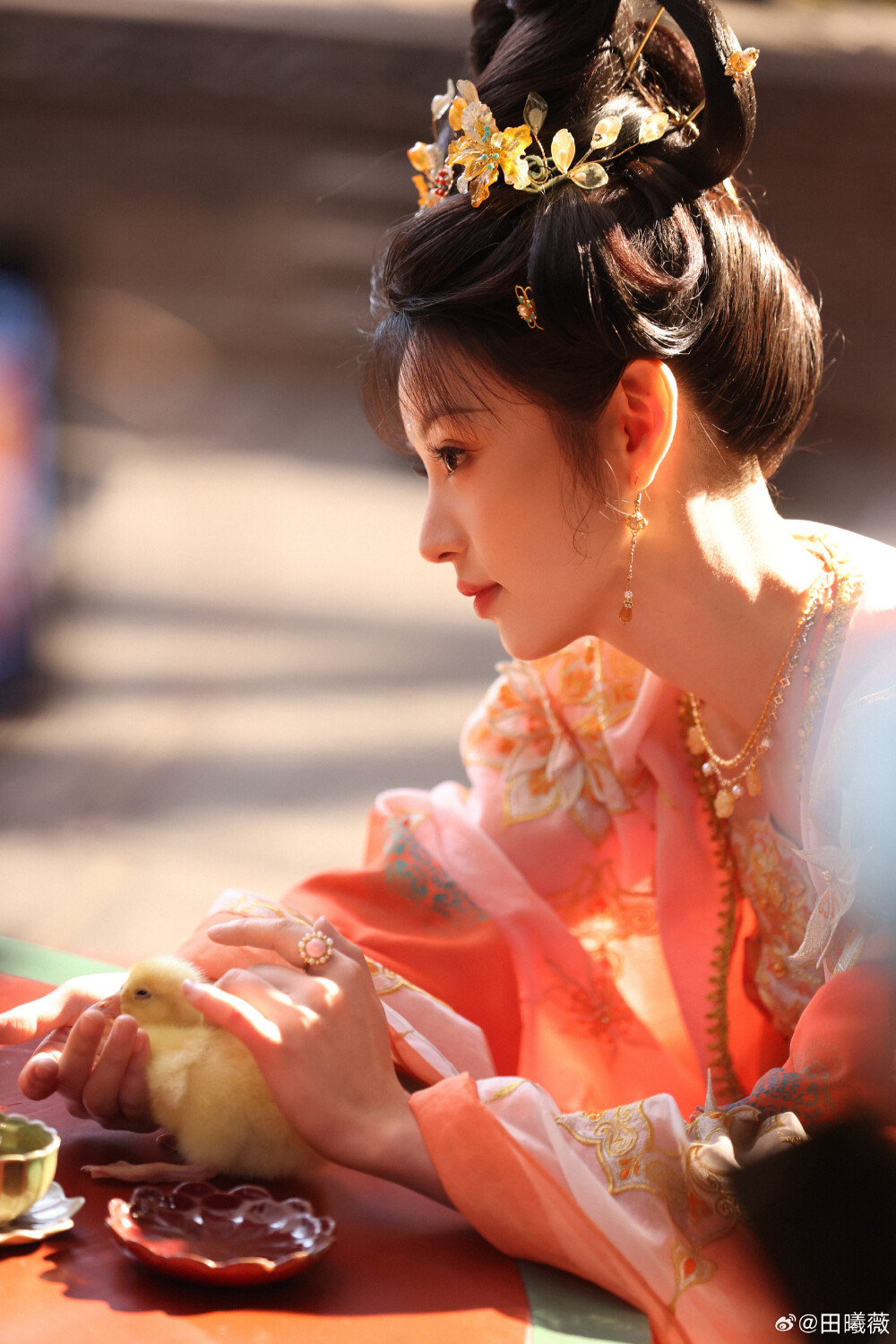 田曦薇