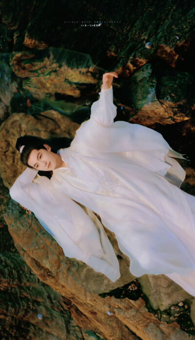 杨洋