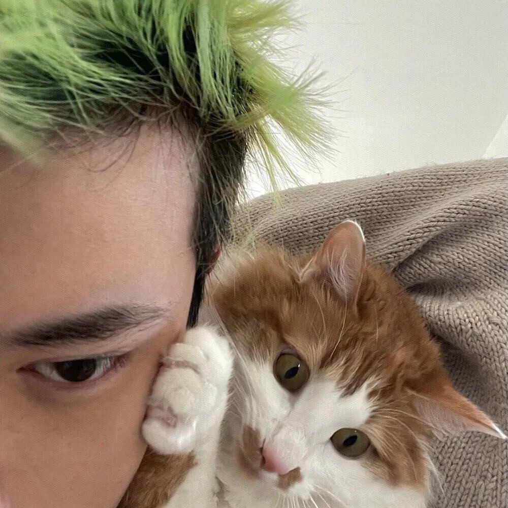 男头
人越淡事越顺