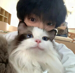 二传注明堆糖：常畫