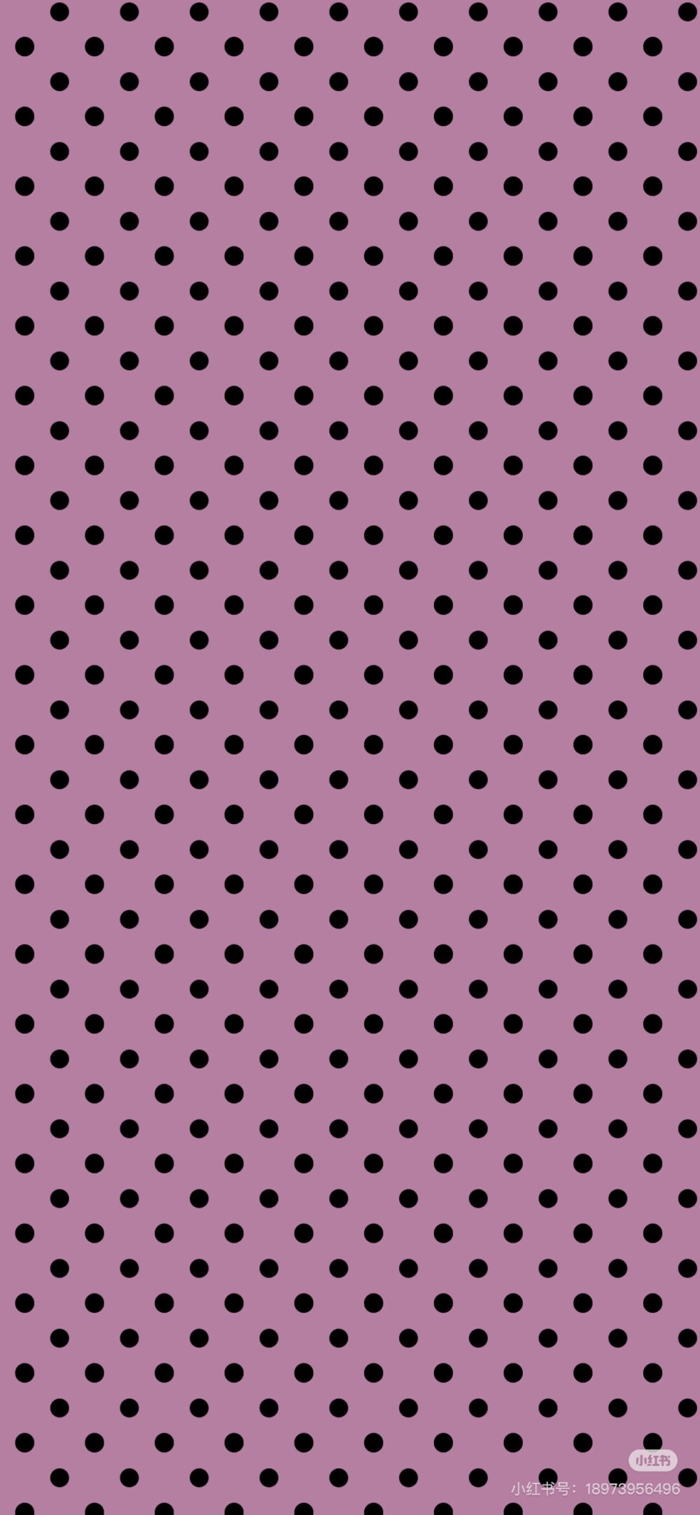 壁纸