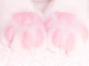 羊肉串这个小宝宝真的太宠我了