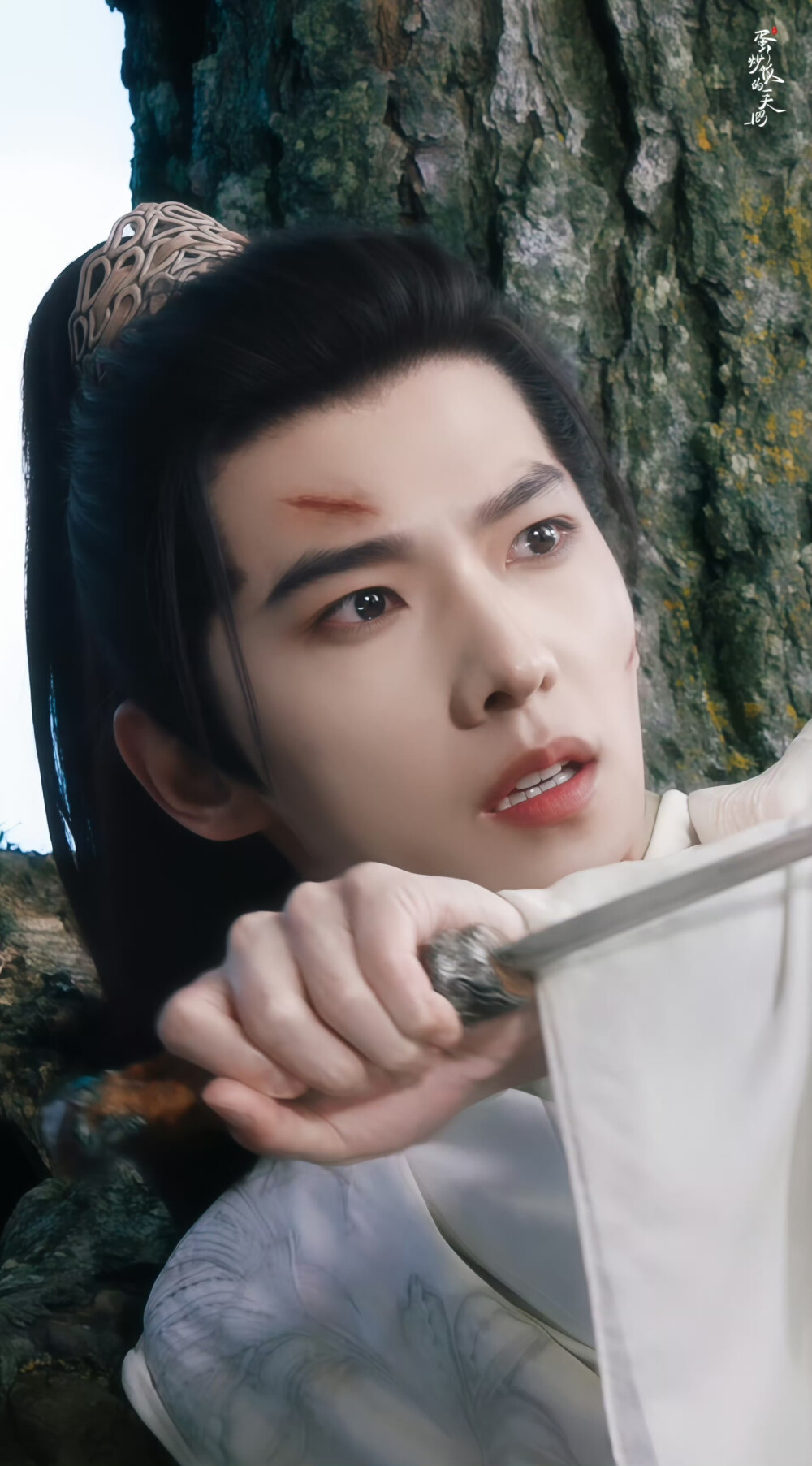 杨洋