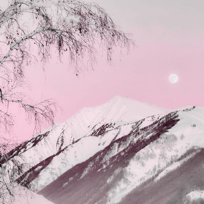 
^Long pavilion flute…雪落梅枝