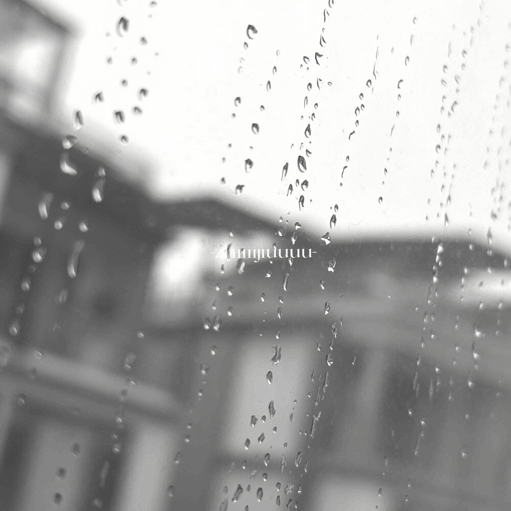  你好，我是猫。