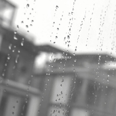  你好，我是猫。