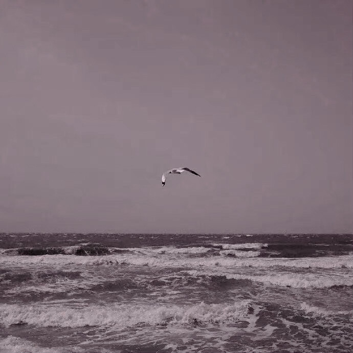 新风格啦(^з^)-☆
NINGeneration
起司名札