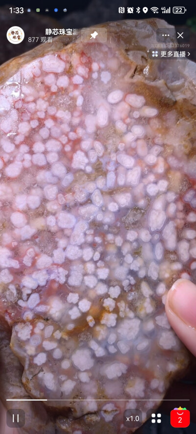 美丽的樱花玛瑙