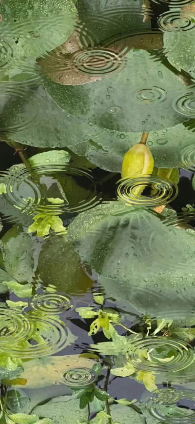 水滴壁纸