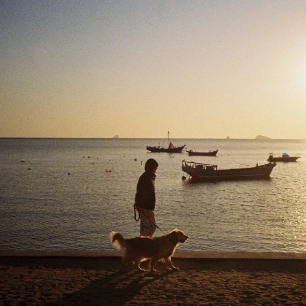 全景