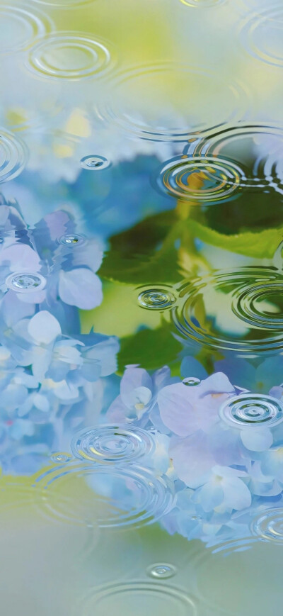 水滴壁纸