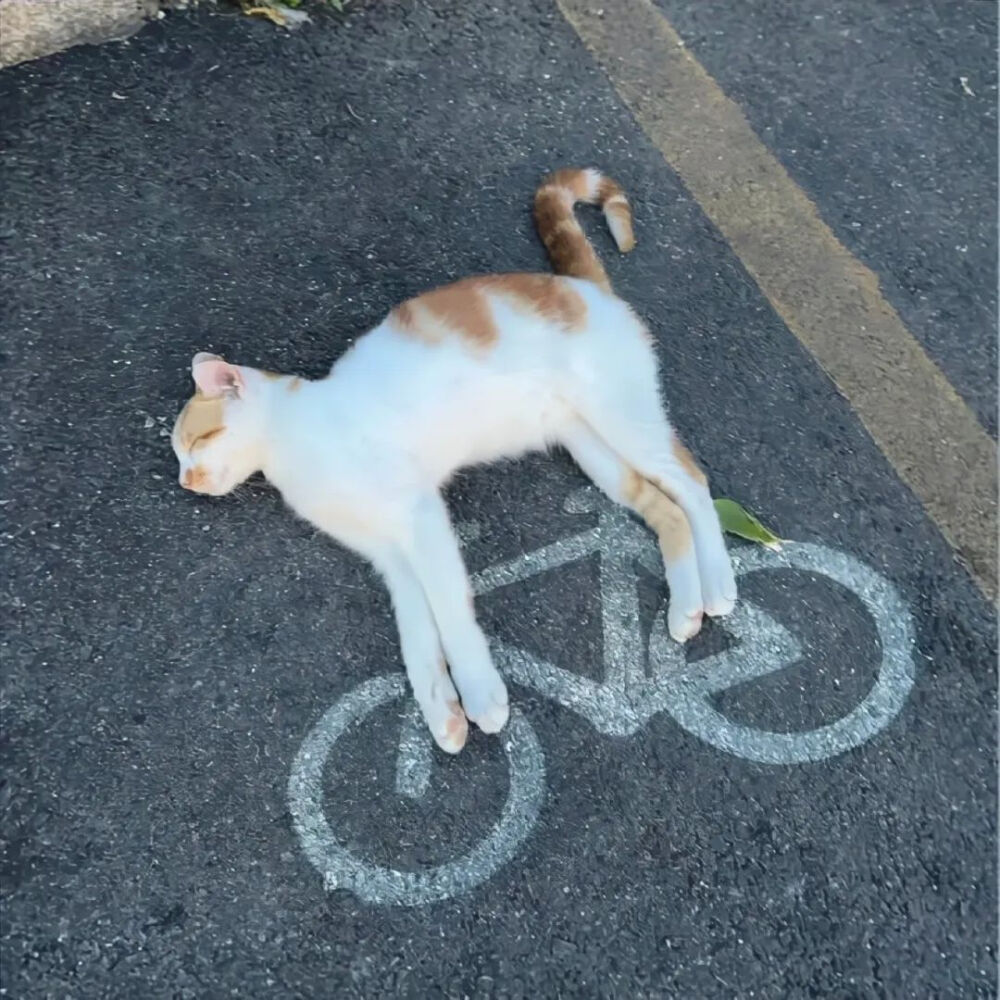 背景图