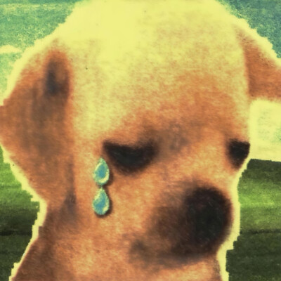 色彩