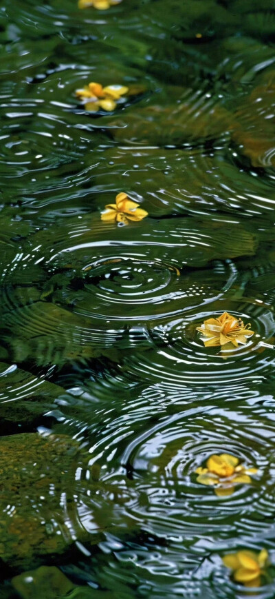水滴壁纸