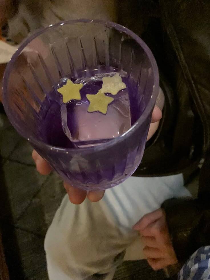 星星核 食核