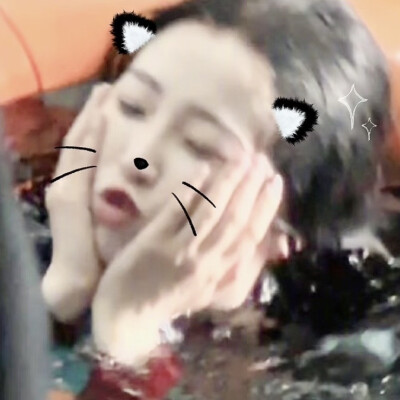 猪猪