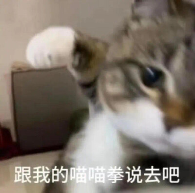 抽象表情包