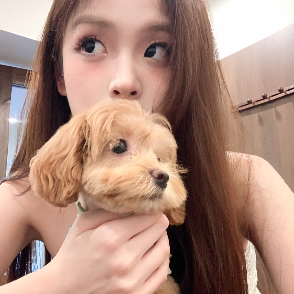 风格女头
二传头像注明出处