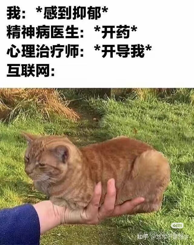 我是不会放弃收集这种图片的