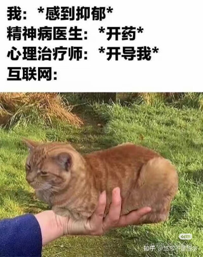 我是不会放弃收集这种图片的