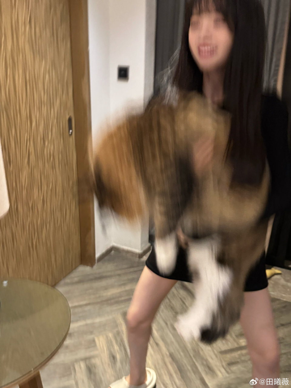 田曦薇
